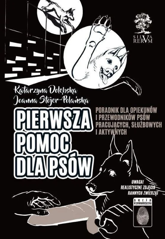 edukamp-1202606100943263523559