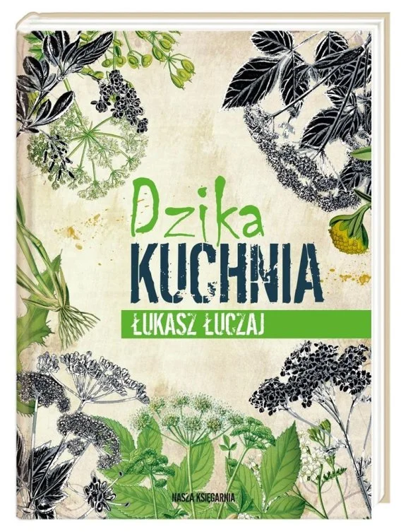 edukamp-1202606110606263660475