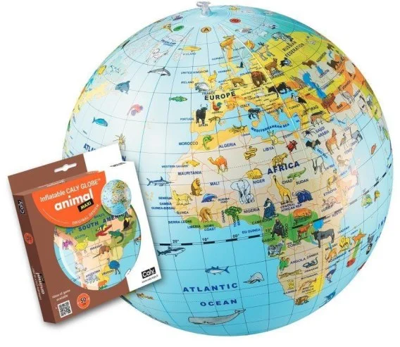 edukamp-12026061120243344274