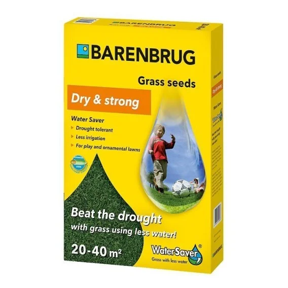 edukamp-12026061208443290735