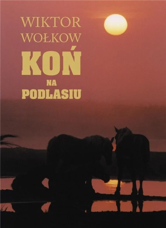 edukamp-120260612111236108377