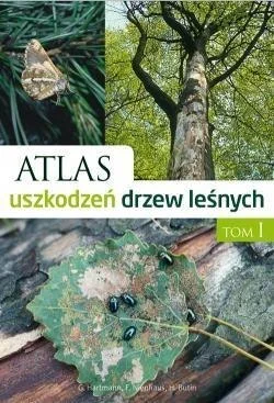 edukamp-120260613013706207659