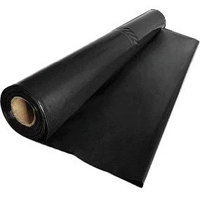 edukamp-120260613191039309249