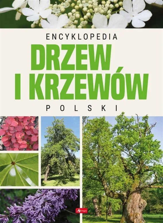 edukamp-120260614203317472187