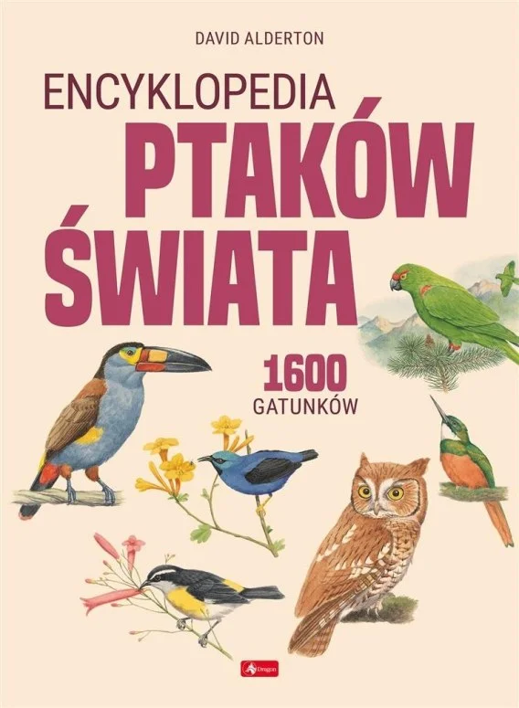 edukamp-120260615061631507401