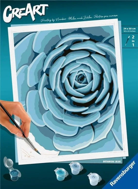 edukamp-120260616064318569536