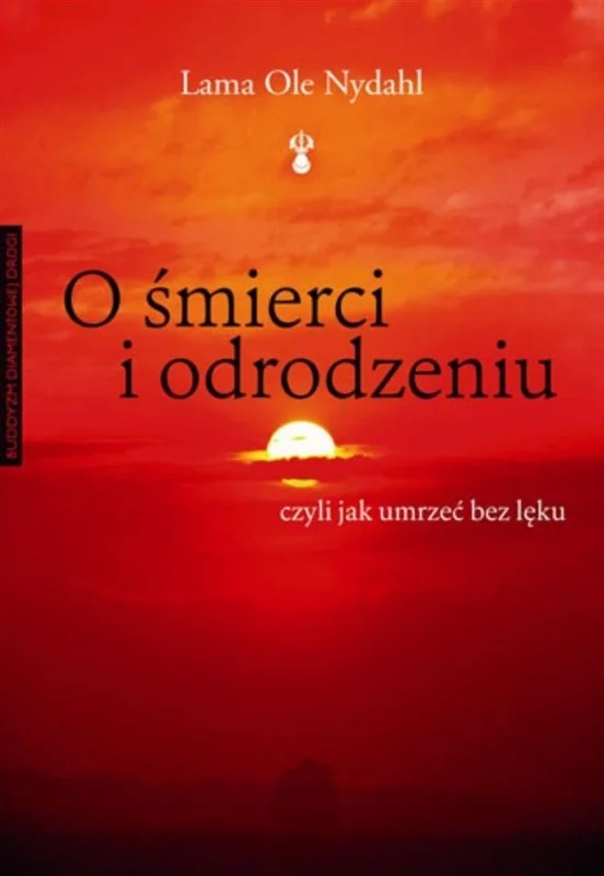 edukamp-2202606110218573646448