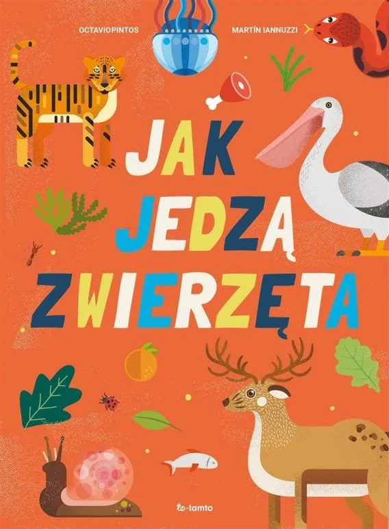 edukamp-2202606110219313646483