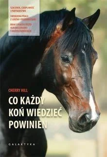 edukamp-2202606110625253661618