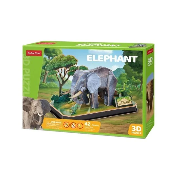edukamp-2202606111012072311