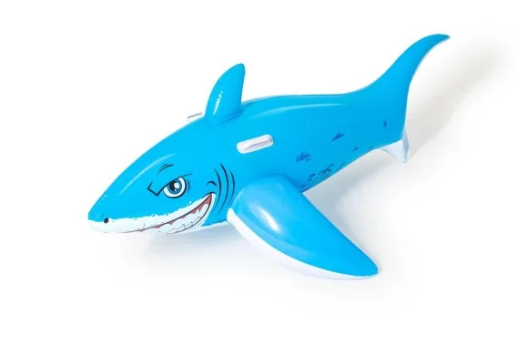edukamp-22026061115273223132