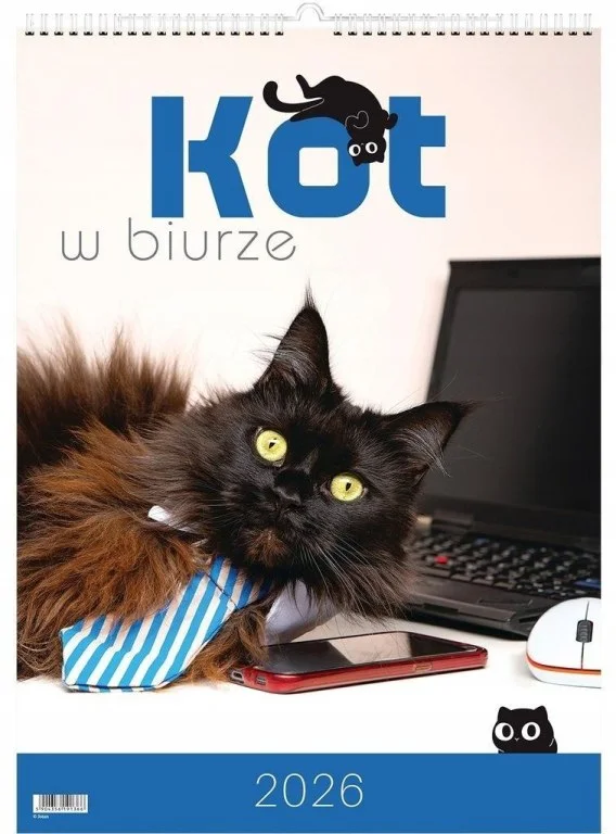 edukamp-22026061119193939860