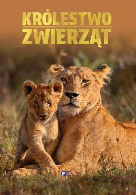 edukamp-22026061121142647417