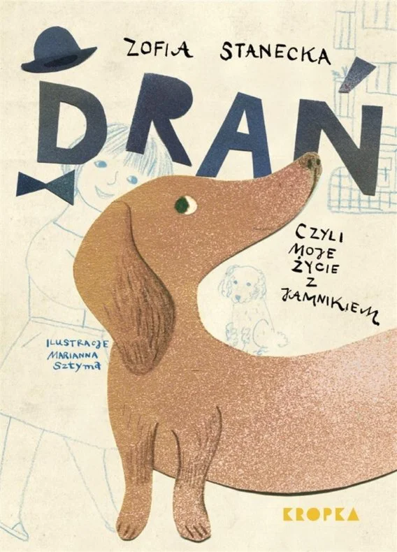 edukamp-22026061202253167985