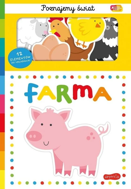 edukamp-22026061203184371751