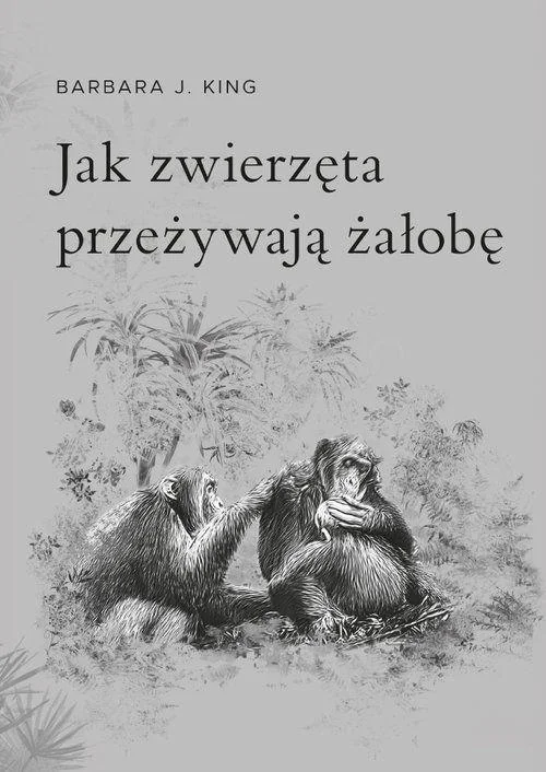 edukamp-22026061203271372349