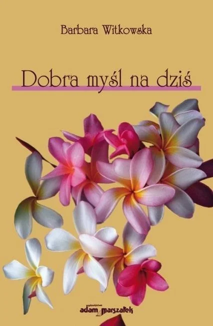 edukamp-22026061206243984757