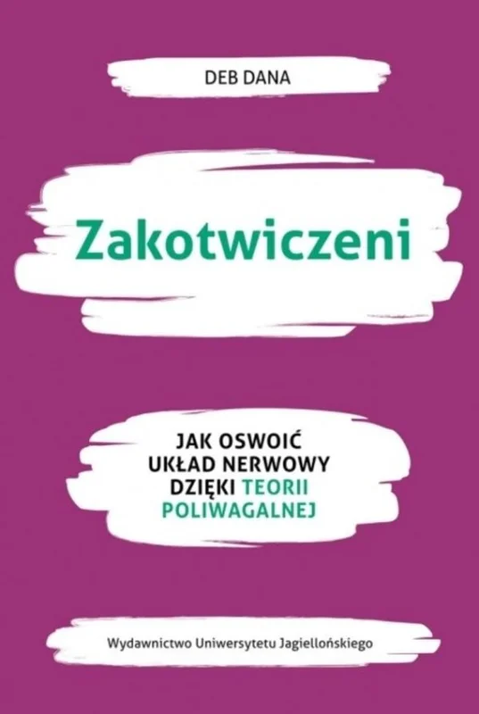 edukamp-220260613202513319804