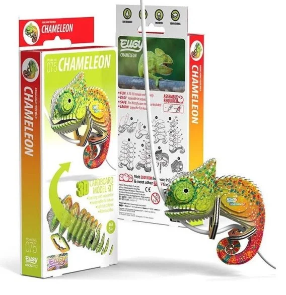 edukamp-220260613232855342749