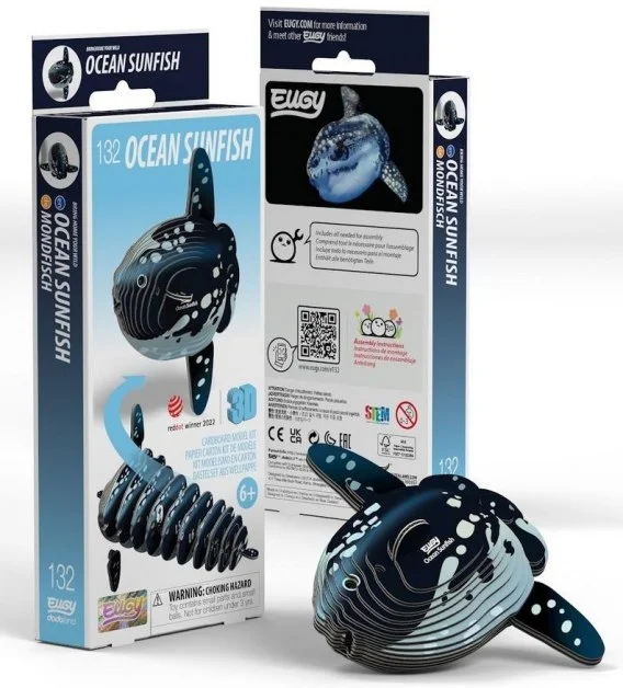edukamp-220260613233432343426