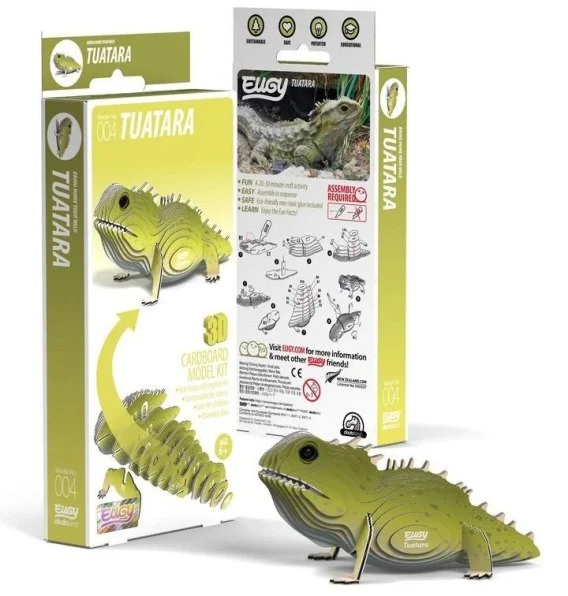 edukamp-220260613233916344011