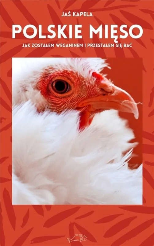 edukamp-220260615030307499801