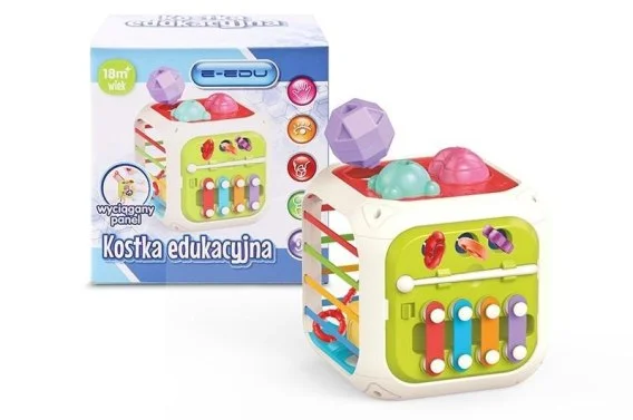 edukamp-220260615105546517648