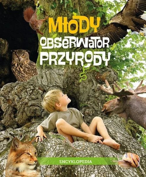 edukamp-220260615143823524889