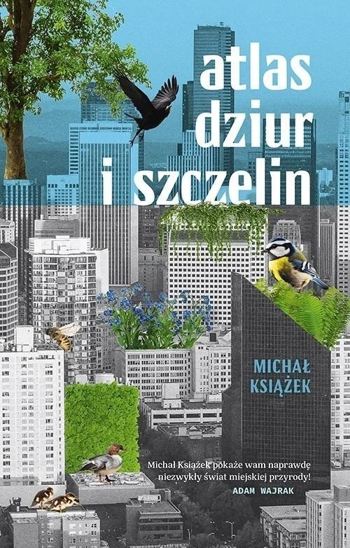 edukamp-220260616022846560677