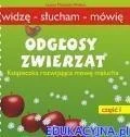 edukamp-220260616111454590602