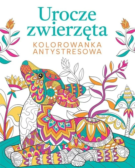 edukamp-220260616122304602729
