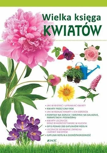edukamp-3202606101225583550980