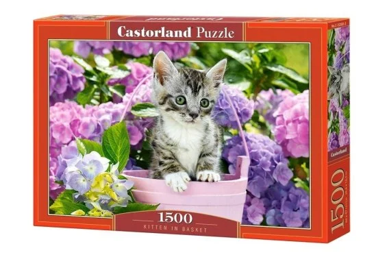 edukamp-3202606101329043561640