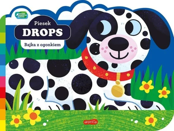 edukamp-3202606101752043604219