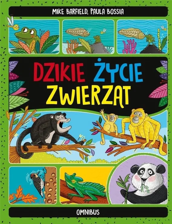 edukamp-3202606110349023652037