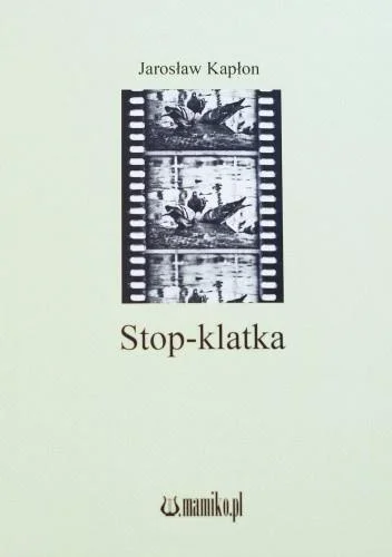 edukamp-3202606110519323657621