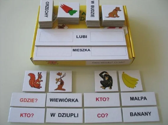 edukamp-3202606110754043667036
