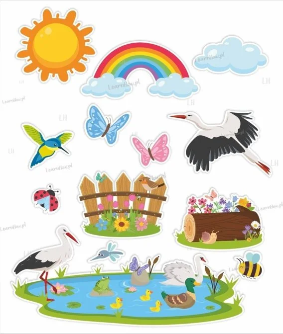 edukamp-32026061112225710078