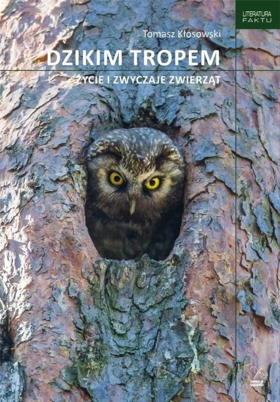 edukamp-32026061115320023486