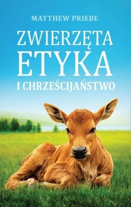 edukamp-32026061115575225337