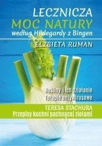 edukamp-32026061116050725830