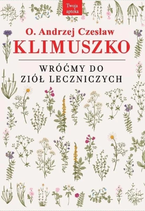 edukamp-32026061121533849737