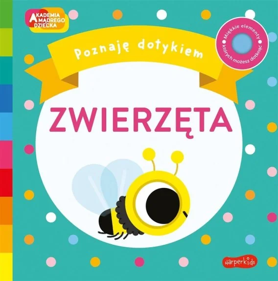 edukamp-32026061200204058797