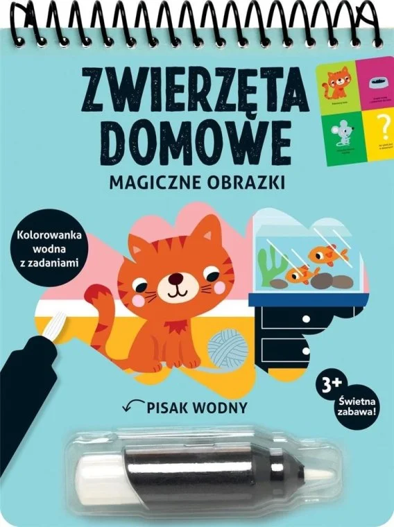 edukamp-32026061201051361989