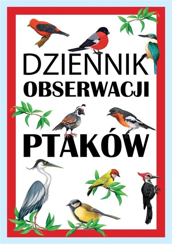 edukamp-32026061203384473183