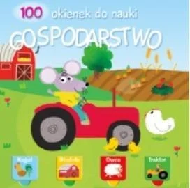 edukamp-32026061207243787260
