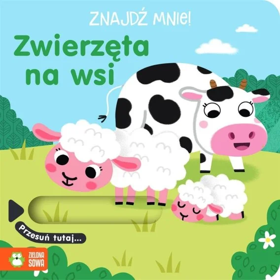 edukamp-320260612121523116211