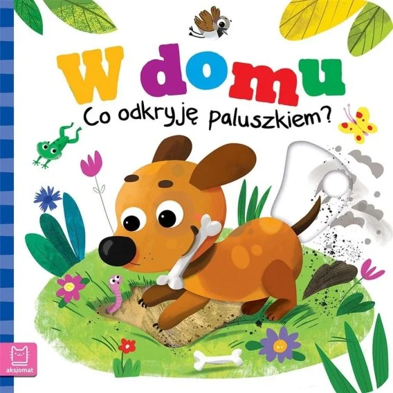 edukamp-320260612122018116545