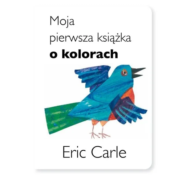 edukamp-320260612161543129015