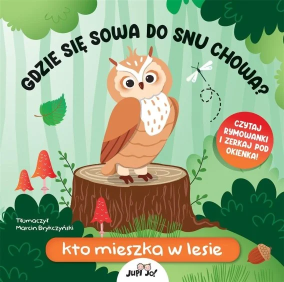 edukamp-320260612191210150342
